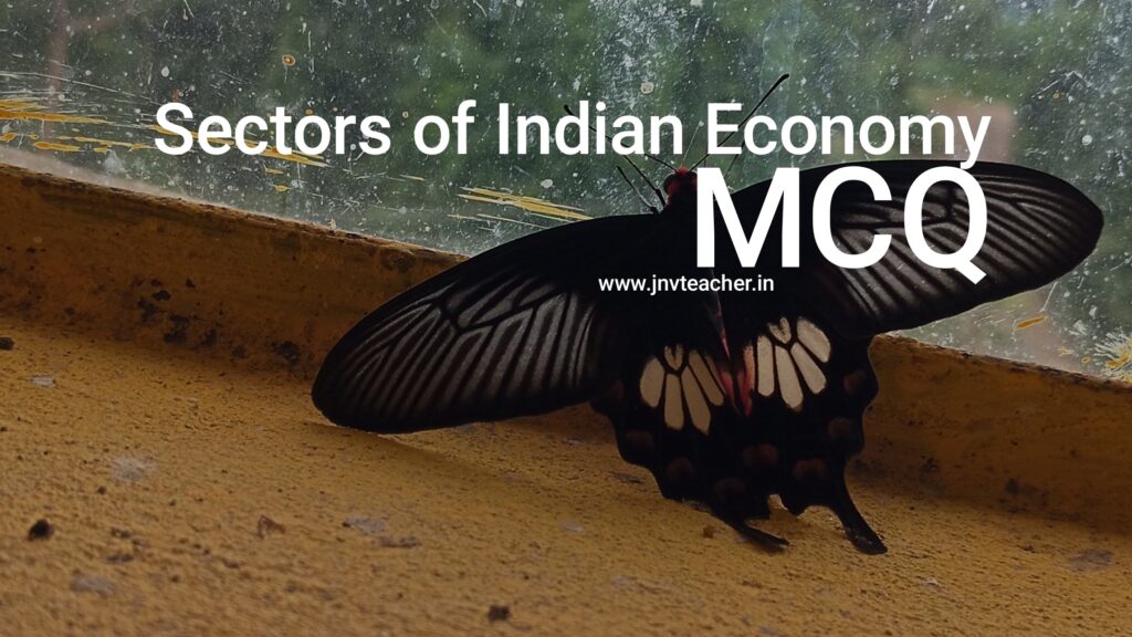 Sectors of the Indian economy Class 10 mcq